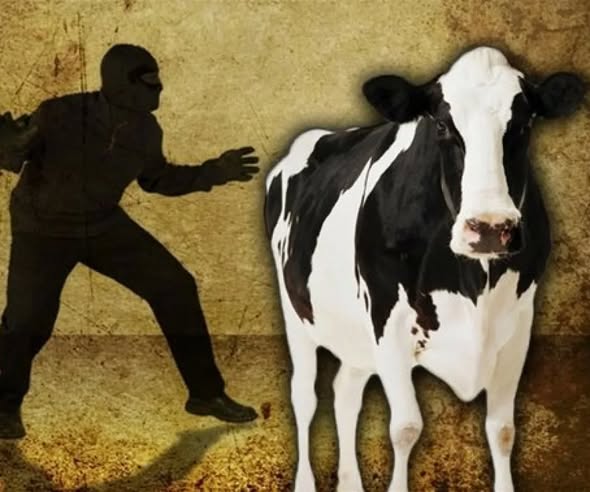 Предуприждение скотокрадство