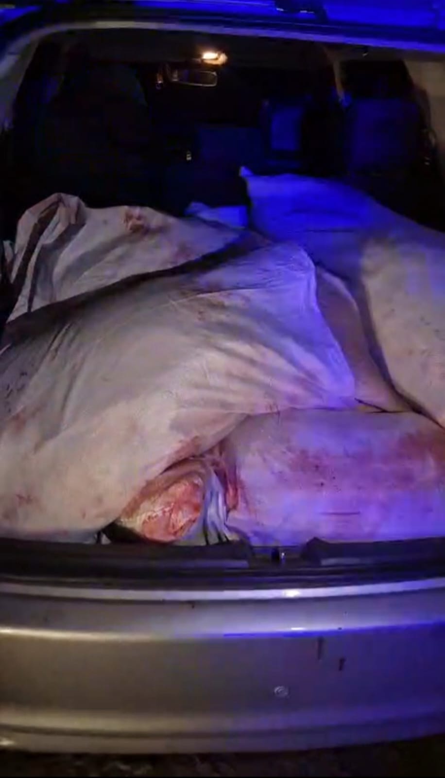 Батыс Қазақстан облысында браконьерлер ұсталды