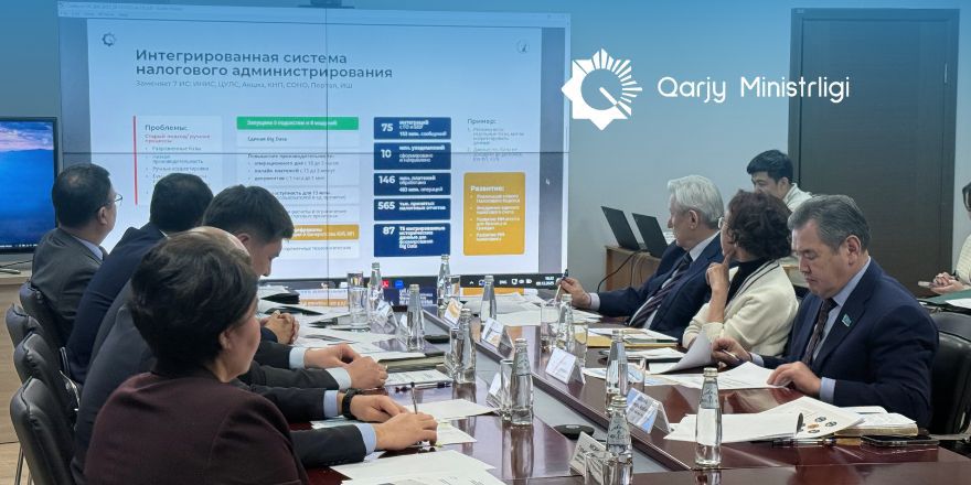 Қоғамдық кеңесте салық жүйесінің цифрлы трансформациясы мен өңірлерге қаржылай қолдау көрсету жолдары пысықталды