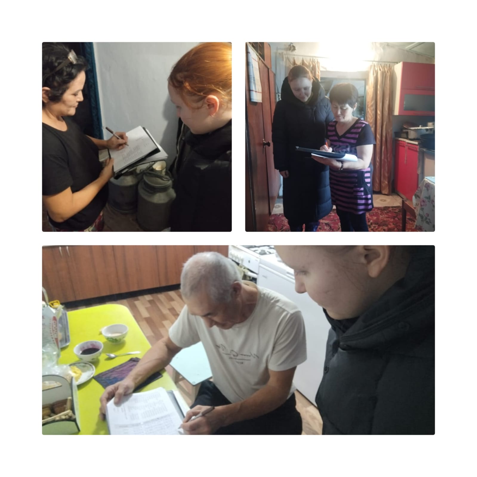 Проведение похозяйственного учета в селе Бузулук