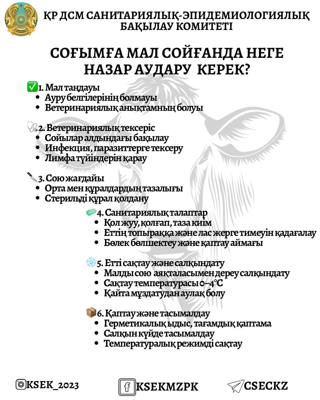 Соғымға мал сойғанда неге назар аудару керек?