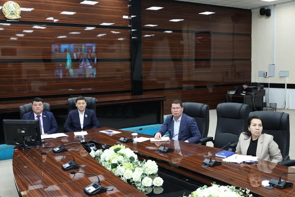 Состоялось очередное заседание Совета по взаимодействию с маслихатами при Сенате Парламента