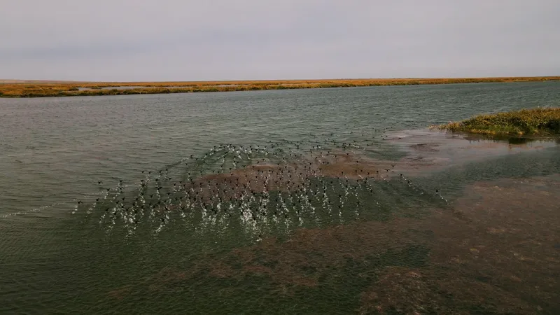 Қазақстан қауіпсіз ауыз суға қол жеткізуді жақсарту жөніндегі хаттаманы ратификациялады
