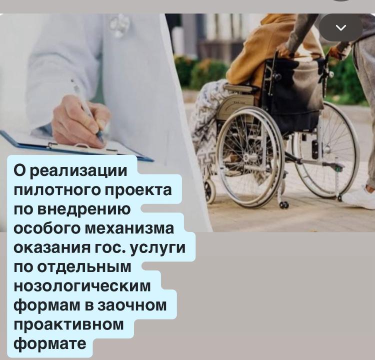 Инвалидтықты және еңбекке жарамсыздық дәрежесін анықтау бойынша мемлекеттік қызмет көрсету ерекше механизмін енгізу жөніндегі пилоттық жобаны іске асыру