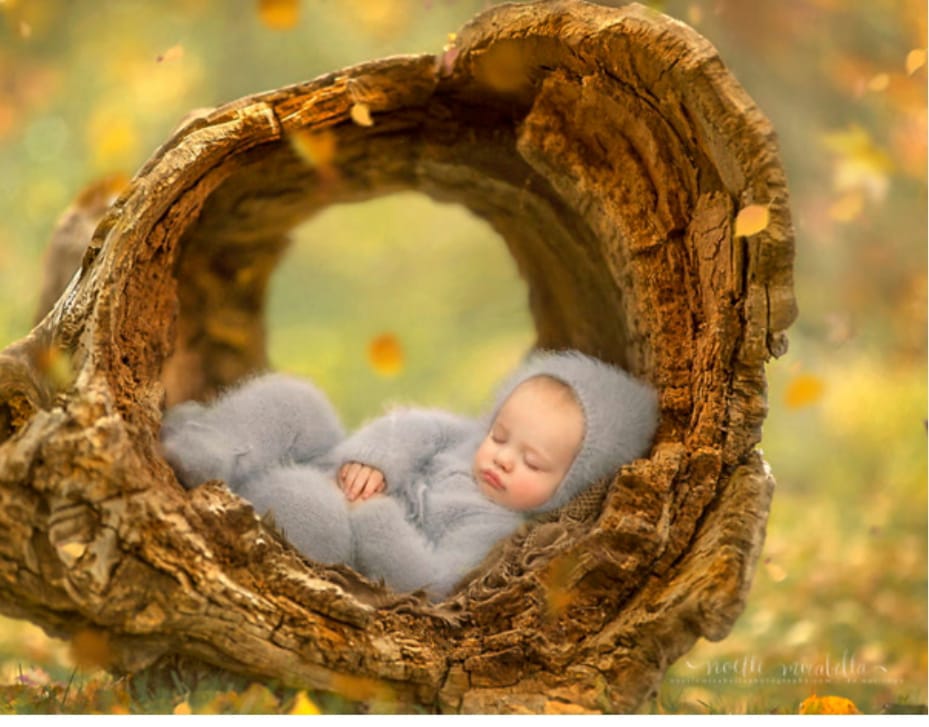 Рейтинг самых популярных имен в ВКО