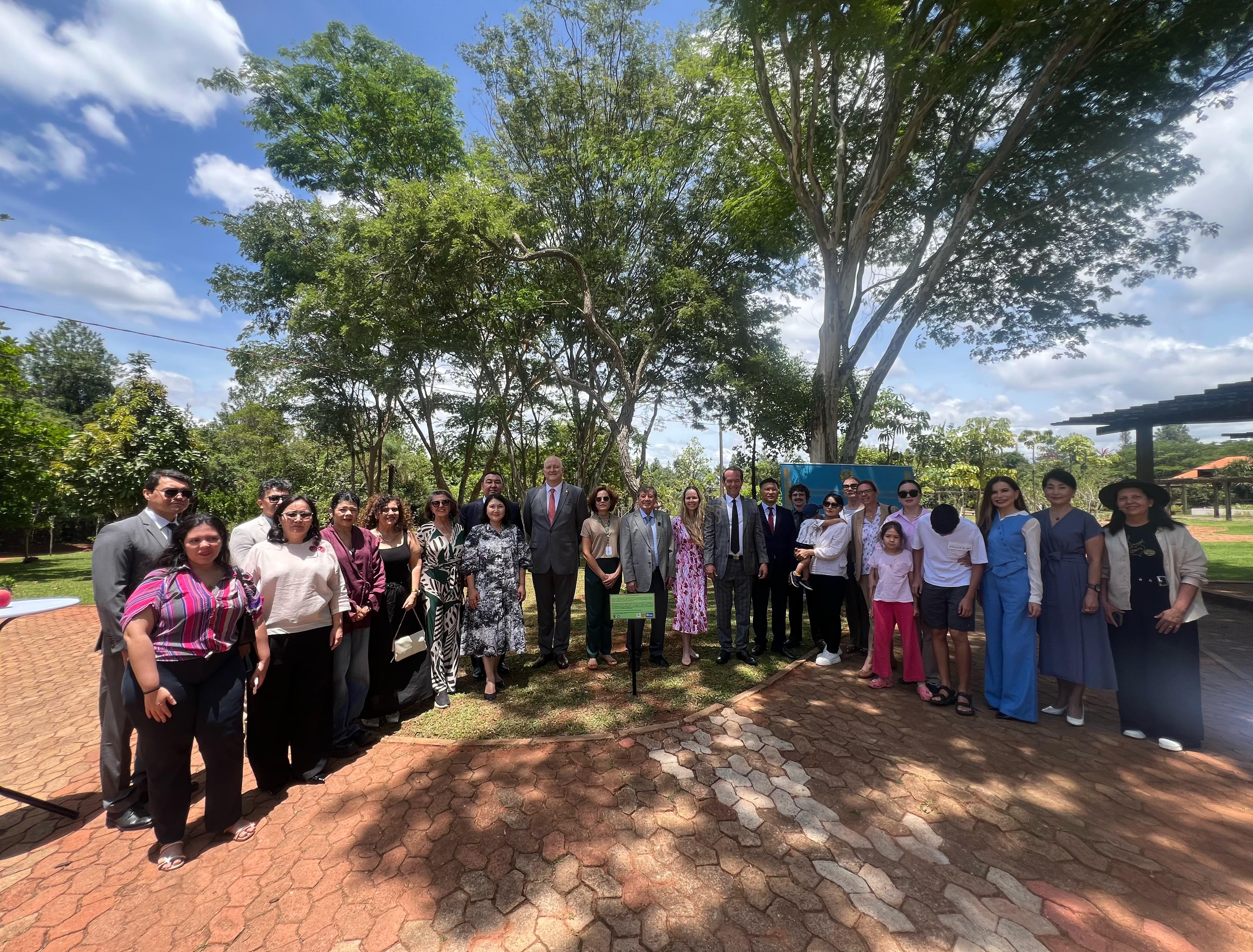 Бразилияда Алматылық апорт алма ағашының таныстырылымы өтті