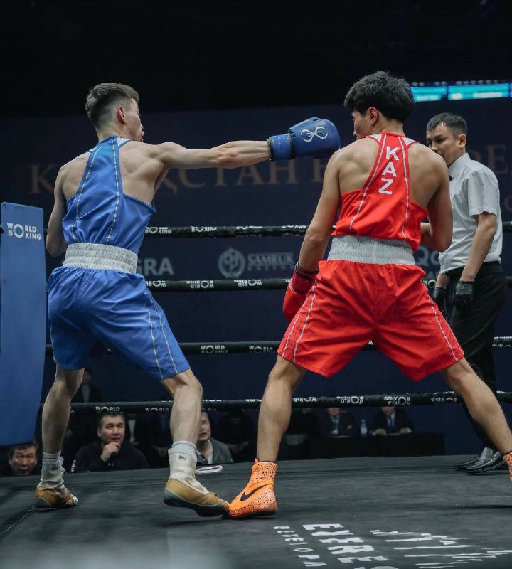 Қазақстан бокс федерациясының кубогы: елорданың былғары қолғап шеберлері күміс жүлдегер атанды