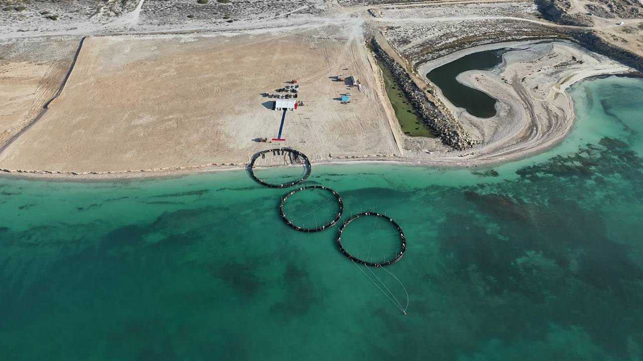 Развитие аквакультуры и инвестиционные проекты до 2030 года