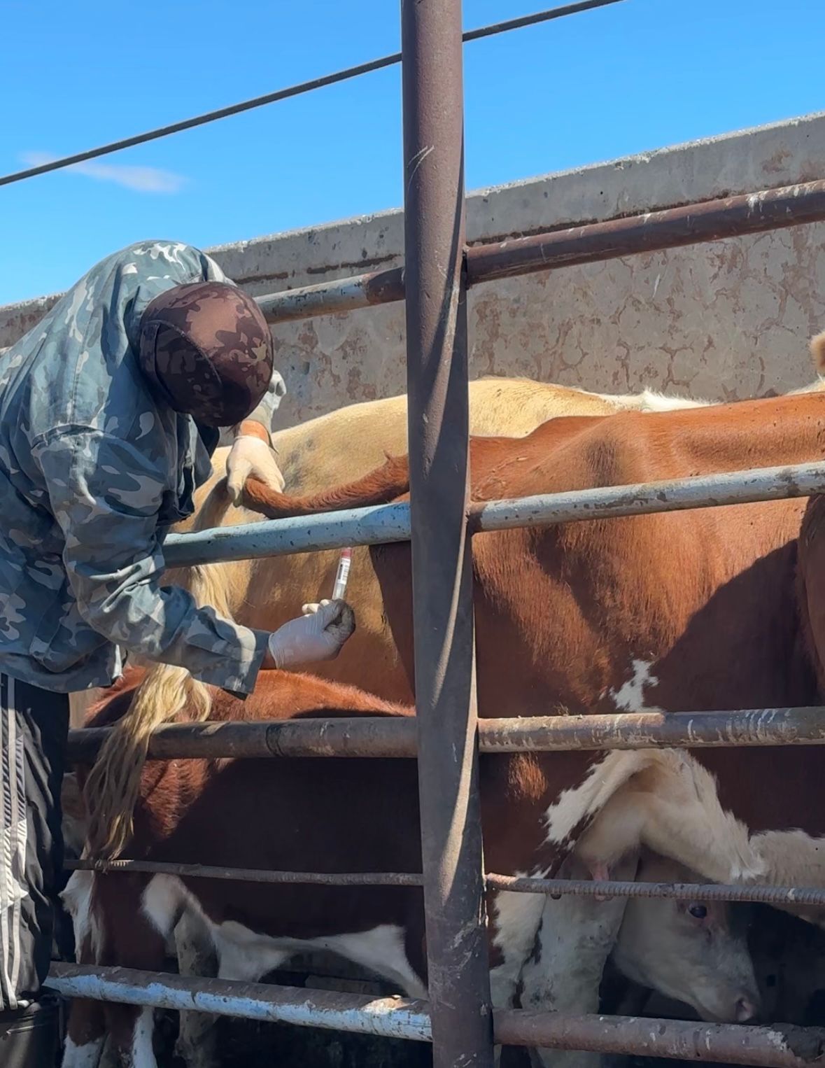 Завершение плановых диагностических исследований