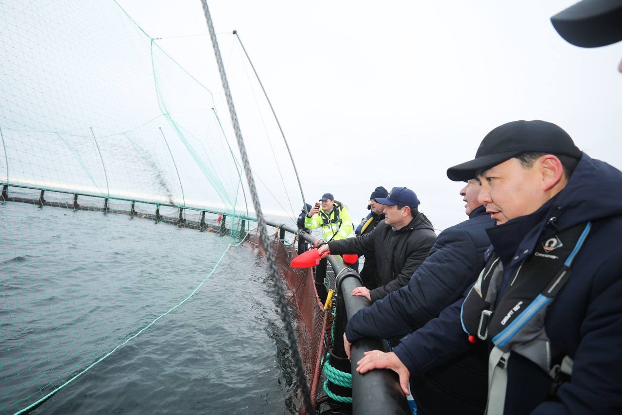 В Мангистау реализуется первый в Центральной Азии проект морской аквакультуры
