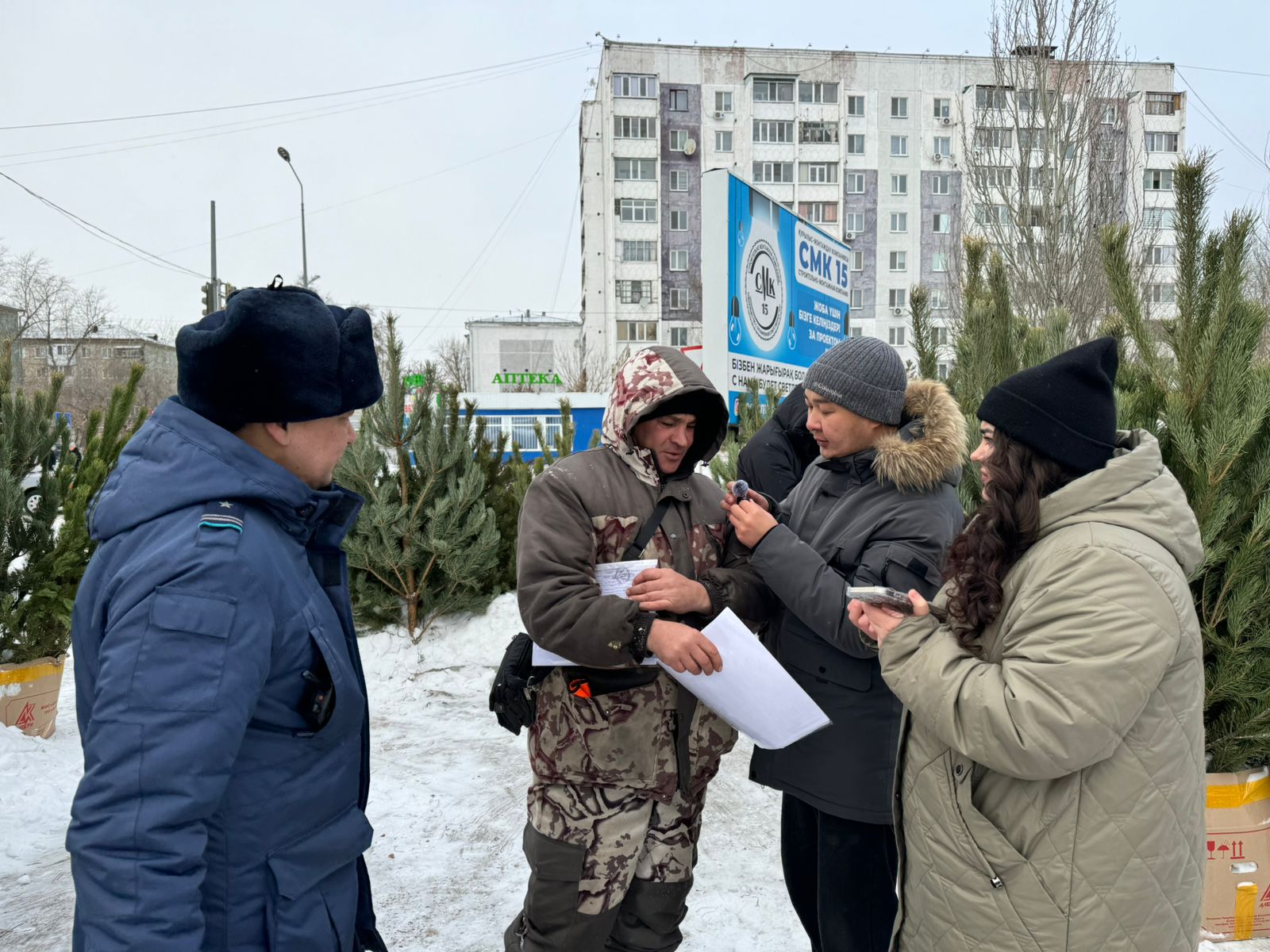 СҚО-да жаңа жылдық шыршалардың заңды сатылуы тексерілуде