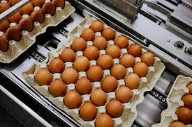 Қазақстан Республикасының аумағына жаңа піскен тауықтардың жұмыртқаларын шетелден  мемлекеттің аумағына әкелуге бір ай мерзімге тыйым салынды.