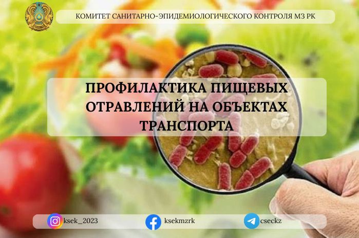 Профилактика пищевых отравлений на объектах транспорта
