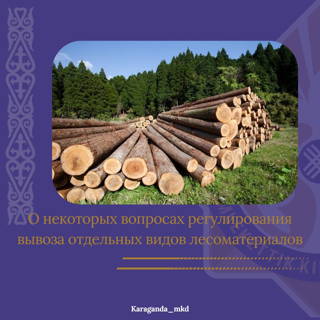 Ағаш материалдарының жекелеген түрлерін әкетуді реттеудің кейбір мәселелері туралы
