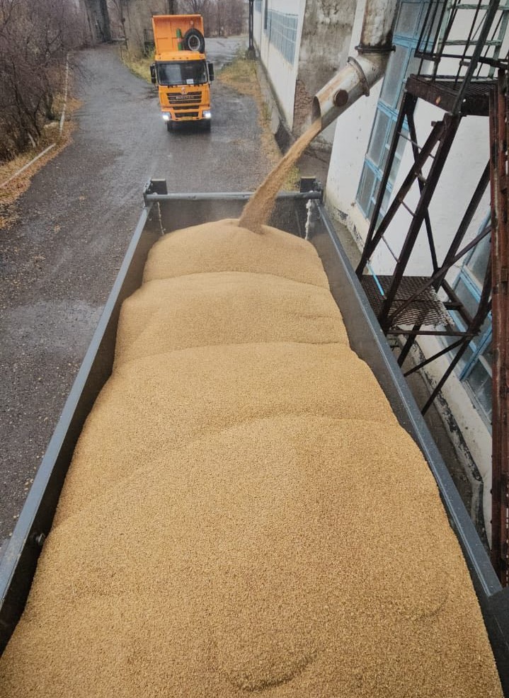 ТҮРКІСТАН: СОЗАҚ АУДАНЫНЫҢ ШАРУАЛАРЫНА 70 ТОННАҒА ЖУЫҚ БИДАЙ ЖЕТКІЗІЛДІ