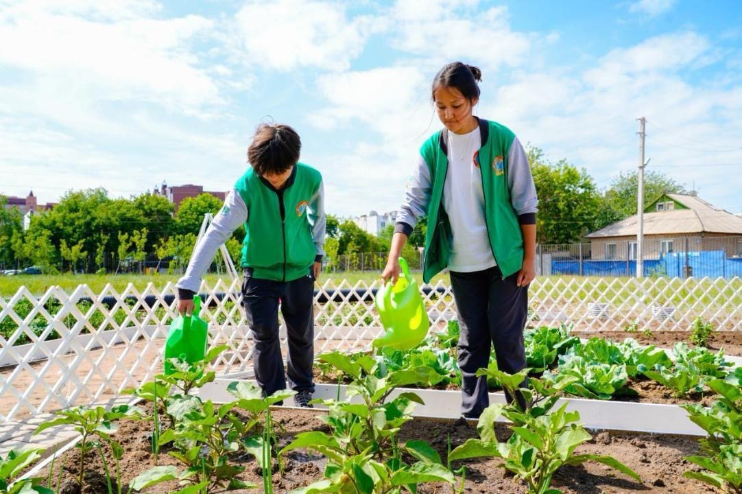 Астанада «Таза Қазақстан» республикалық жобасының 2025 жылғы қорытындысы жарияланды