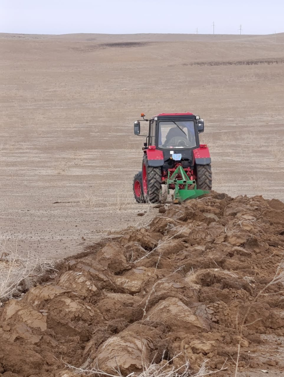 ТҮРКІСТАН ОБЛЫСЫНДА ШЕГІРТКЕ ЗИЯНКЕСІНЕ ҚАРСЫ ЖЕР ЖЫРТУ ЖҰМЫСТАРЫ БАСТАЛДЫ