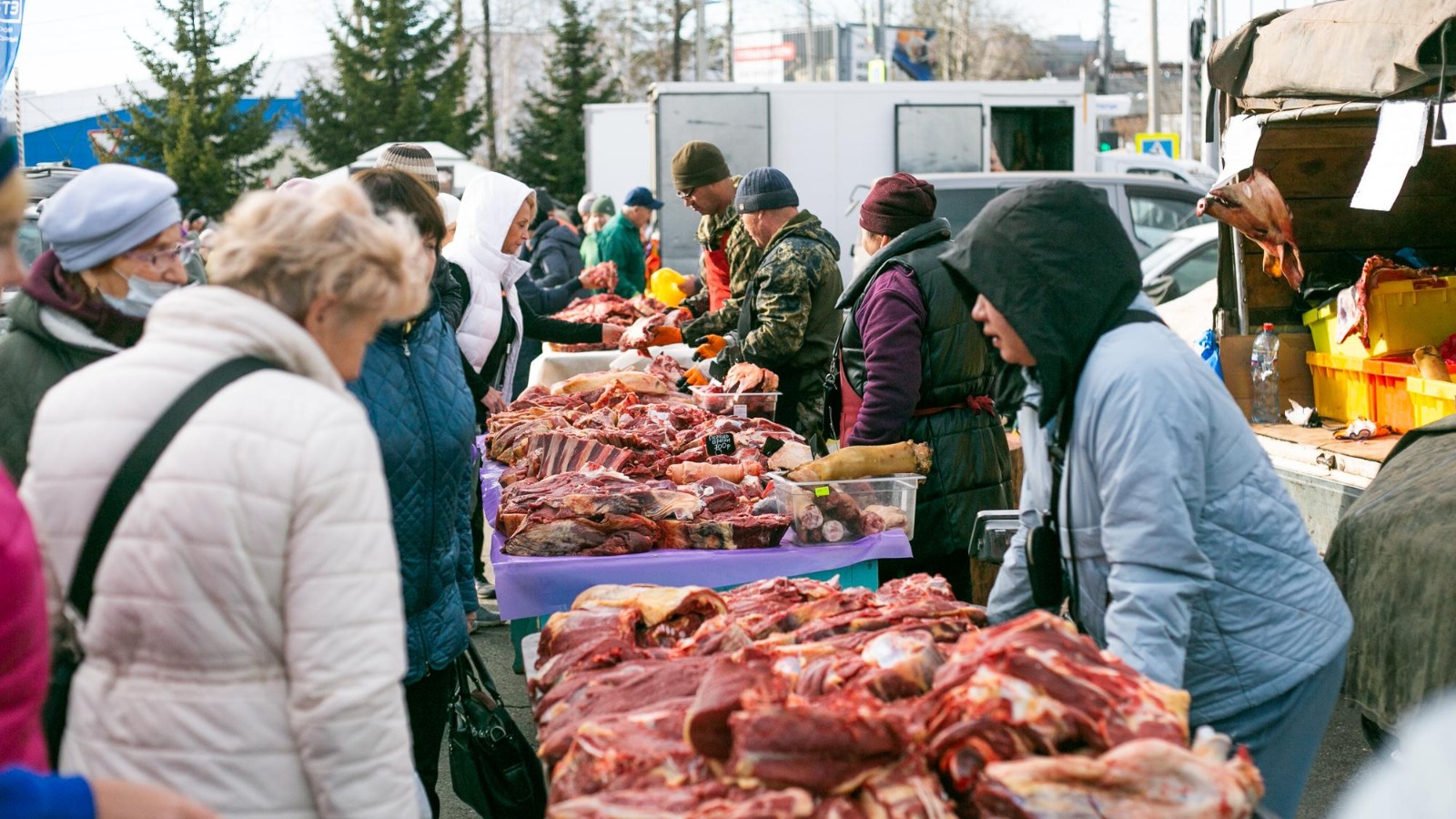 Сельскохозяйственная ярмарка