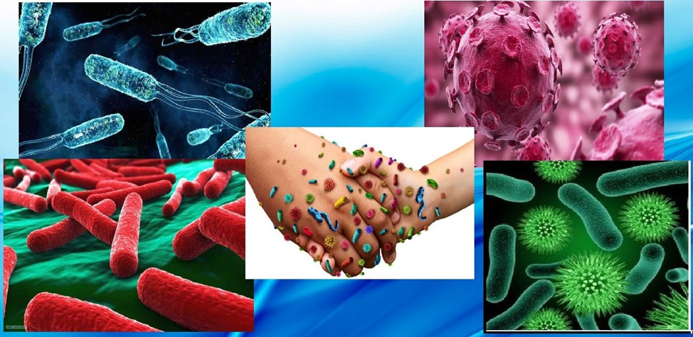 Профилактика менингококковой инфекции