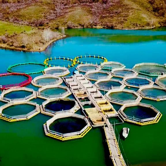 Особый порядок закрепления участков рыбохозяйственных водоемов международного или республиканского значения для осуществления садковой хозяйственной деятельности