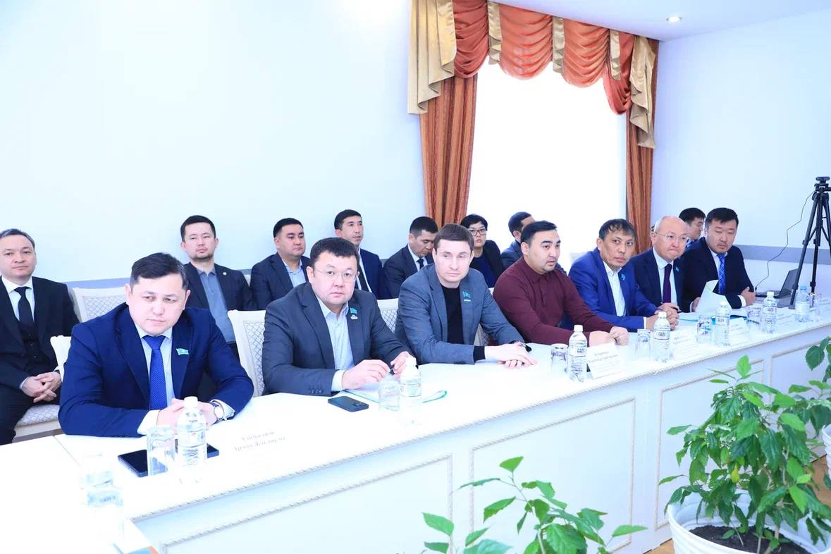 Депутаты областного маслихата рассмотрели итоги аудита благоустройства и озеленения Карагандинской области