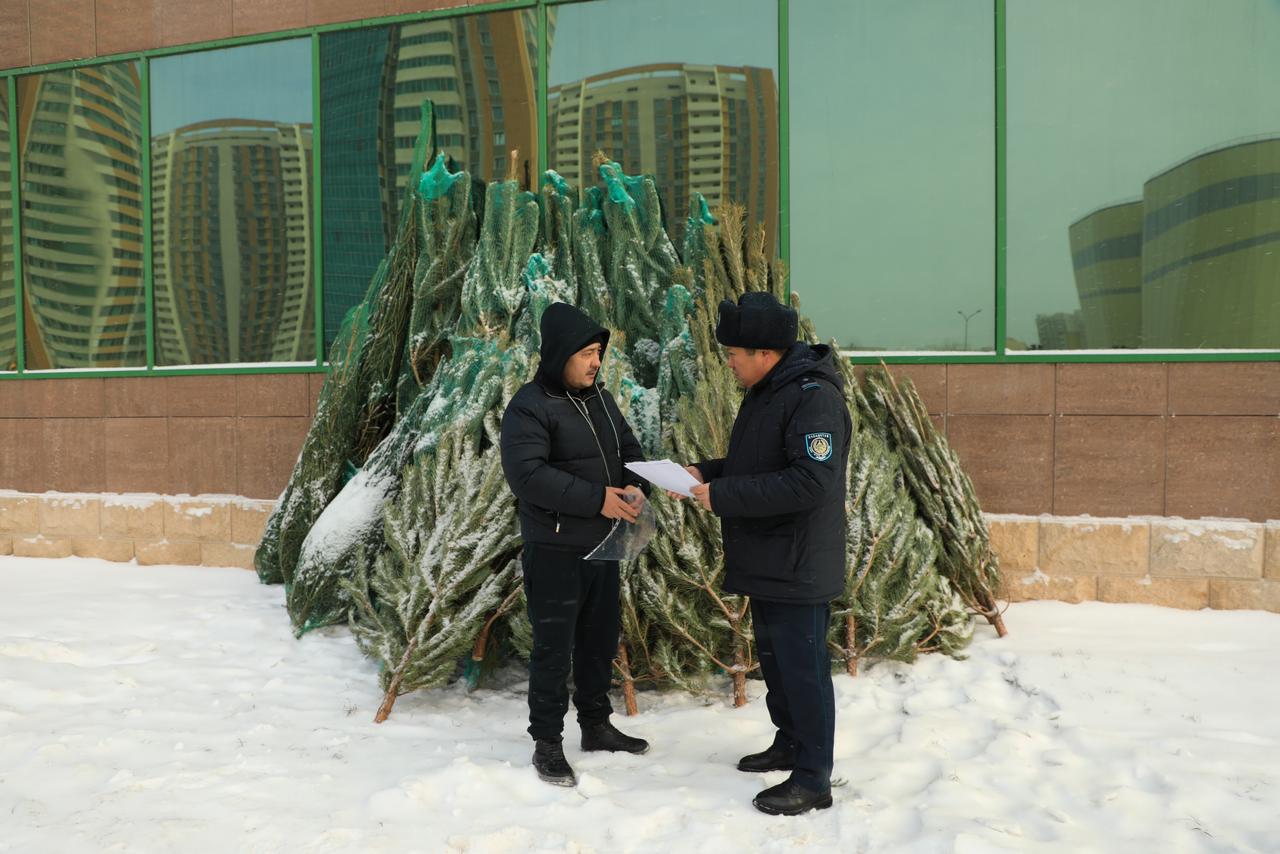 ОПМ «Ель»: в столице проверяют продажу и перевозку хвойных деревьев
