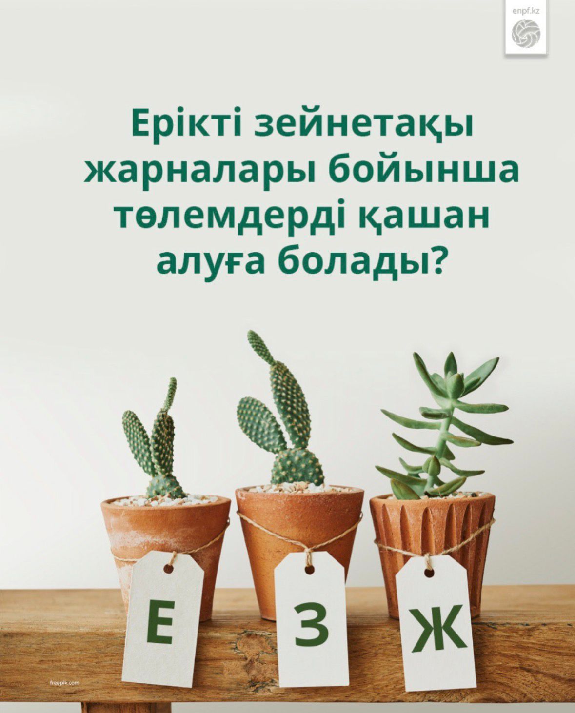 Ерікті зейнетақы жарналары бойынша төлемдерді қашан алуға болады?