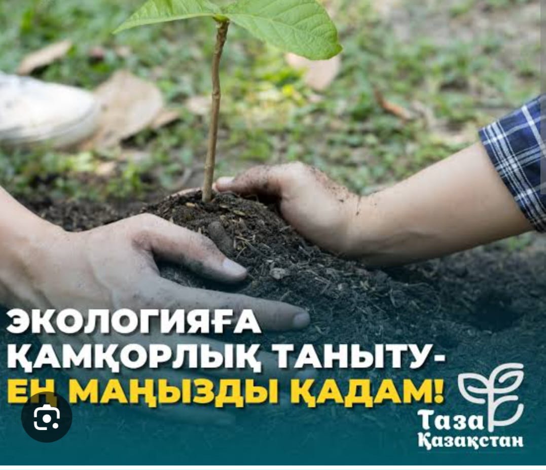 Забота об экологии - важнейший шаг