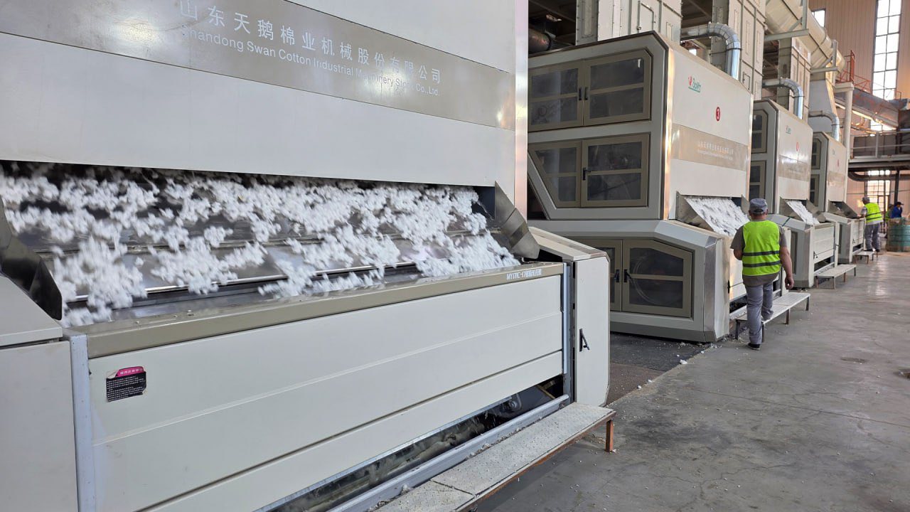Проект полного цикла: в Туркестанской области создадут масштабный кластер от выращивания хлопка до изготовления одежды