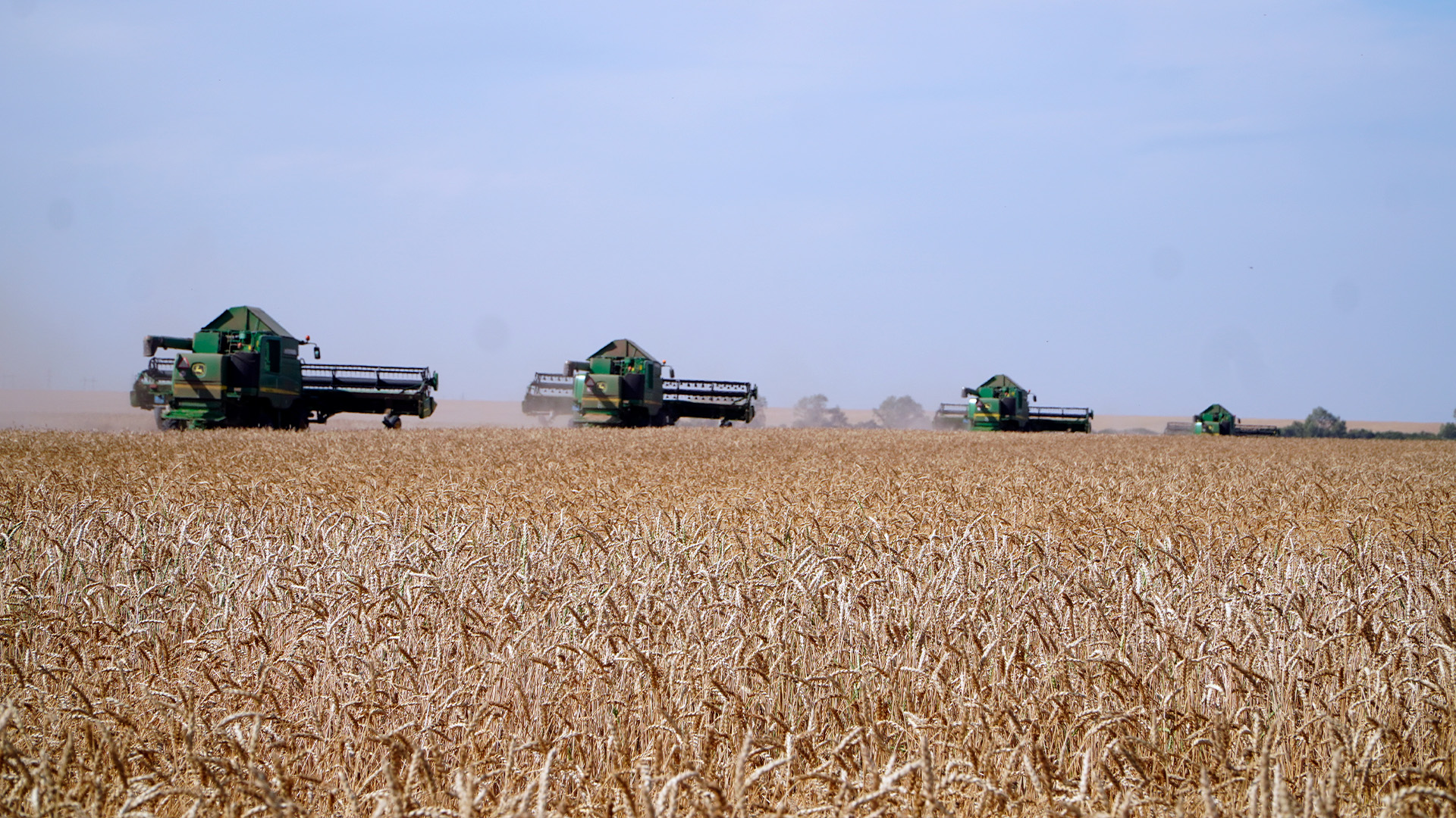 Ақмола облысы астықтың жалпы жиналымы бойынша елімізде көшбасшылар қатарына шықты