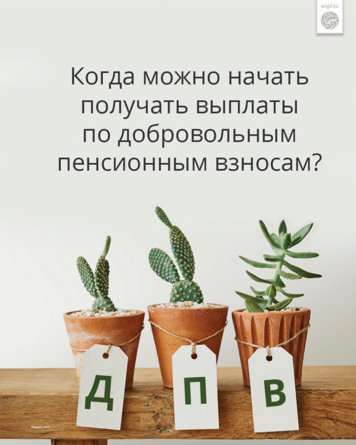 Когда можно начать получать выплаты по добровольным пенсионным взносам?