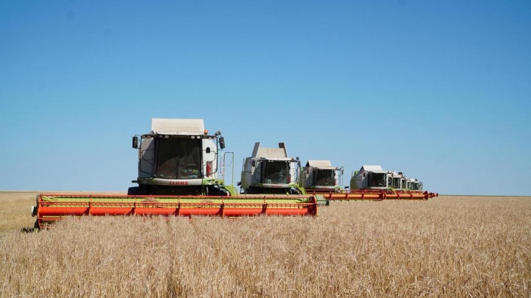 Уборочная кампания в Акмолинской области завершилась рекордными результатами