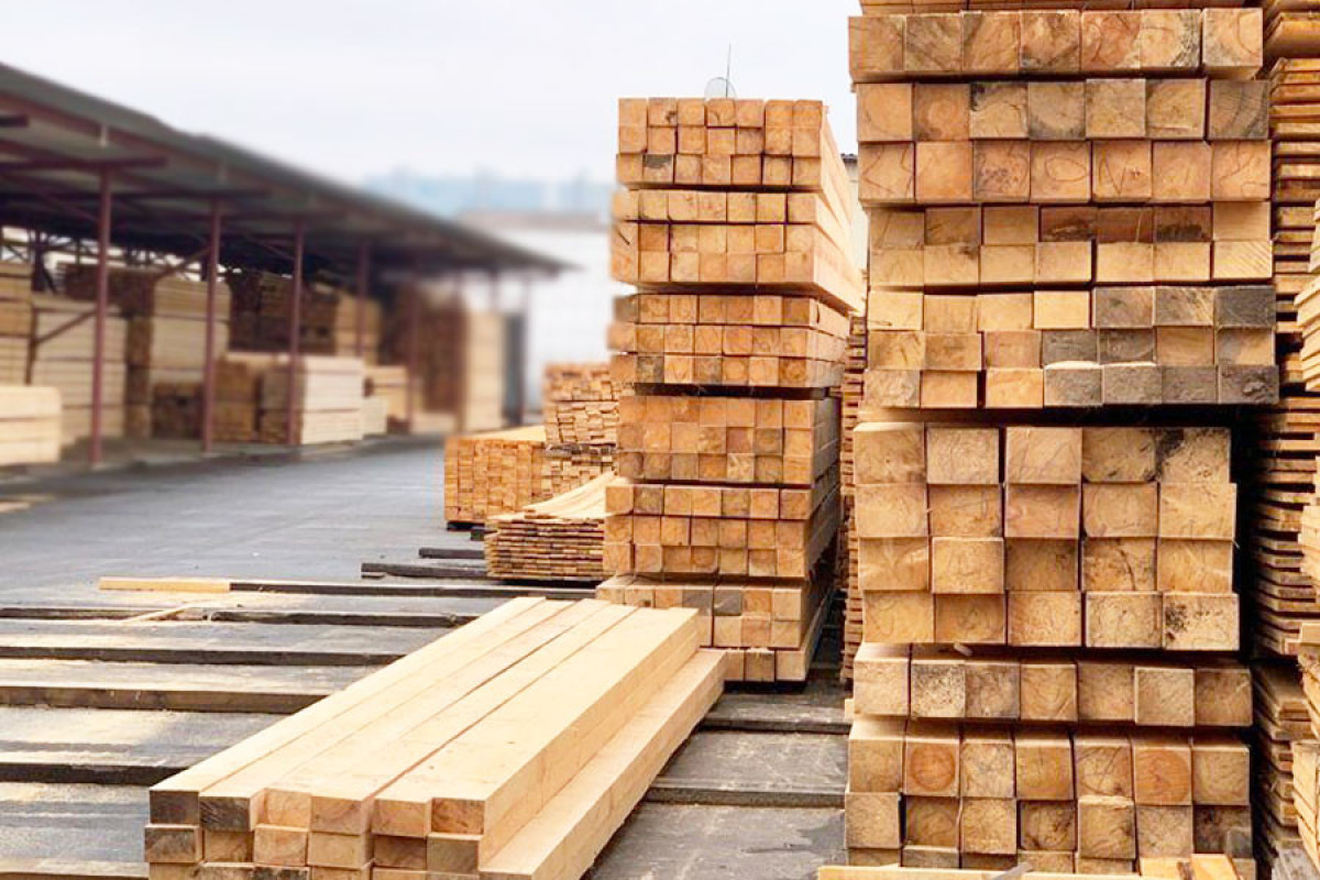 О некоторых вопросах регулирования вывоза отдельных видов древесных материалов