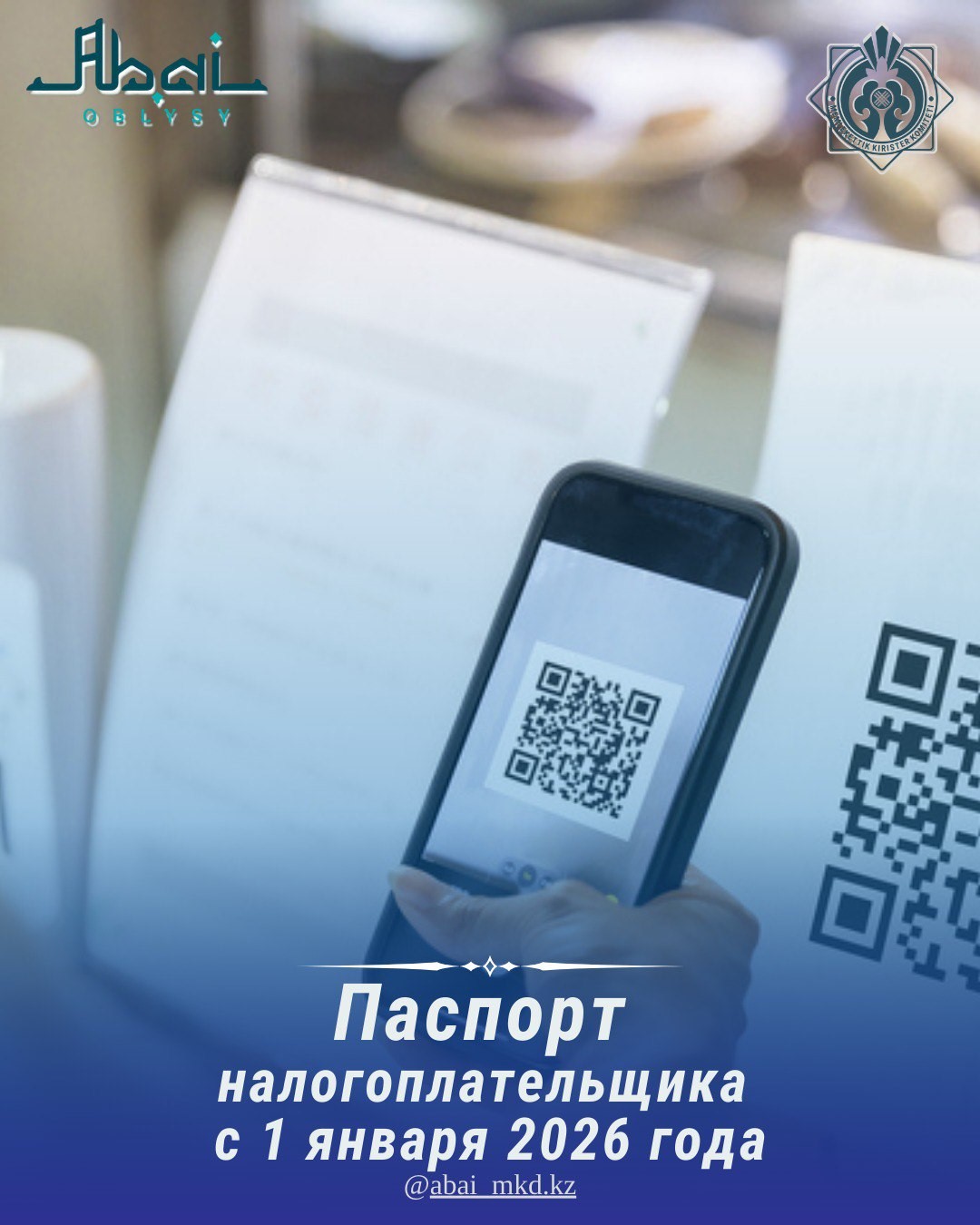 Паспорт налогоплательщика с 1 января 2026 года