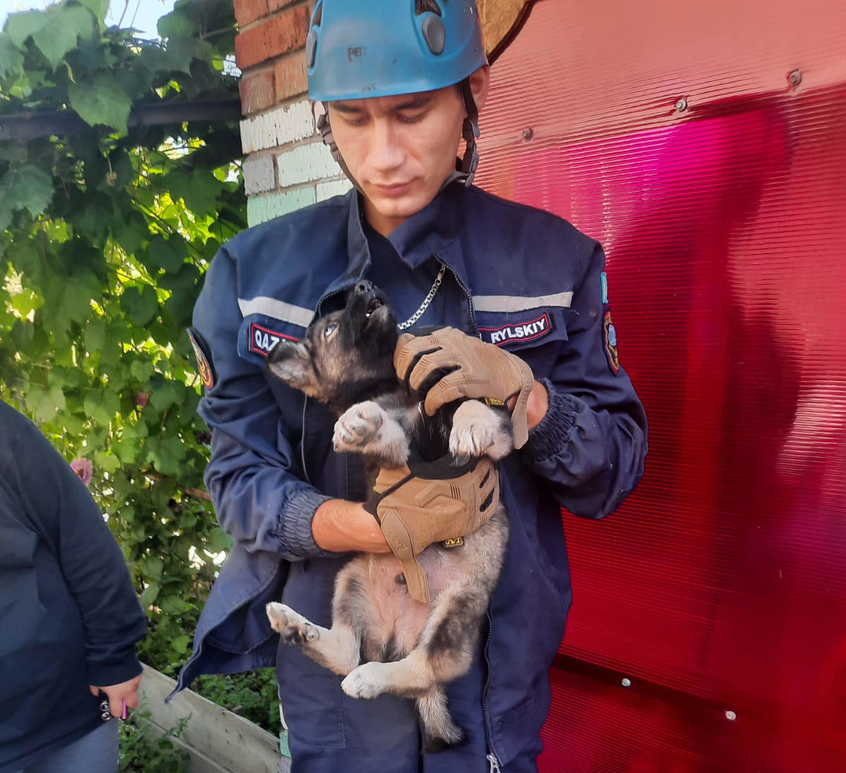 Подводя итоги уходящего 2025 года, спасатели вспомнили наиболее интересные истории спасения