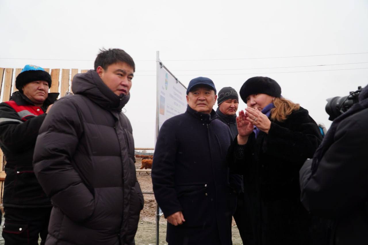 Ерейментау ауданында ірі ет кластері қалыптасып жатыр