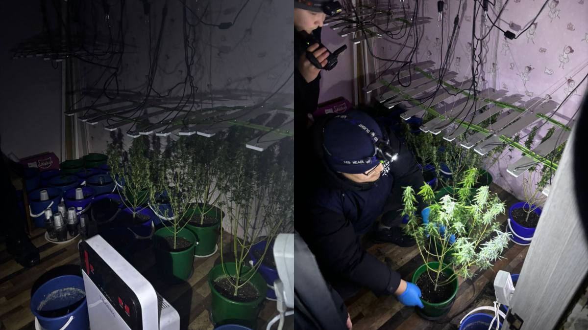 Орал тұрғыны пәтерін есірткі зертханасына айналдырған