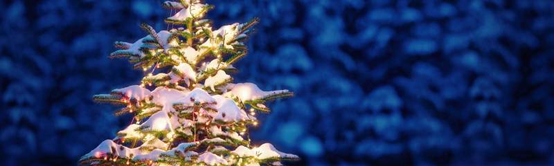 Құрметті кент тұрғындары мен қонақтары!