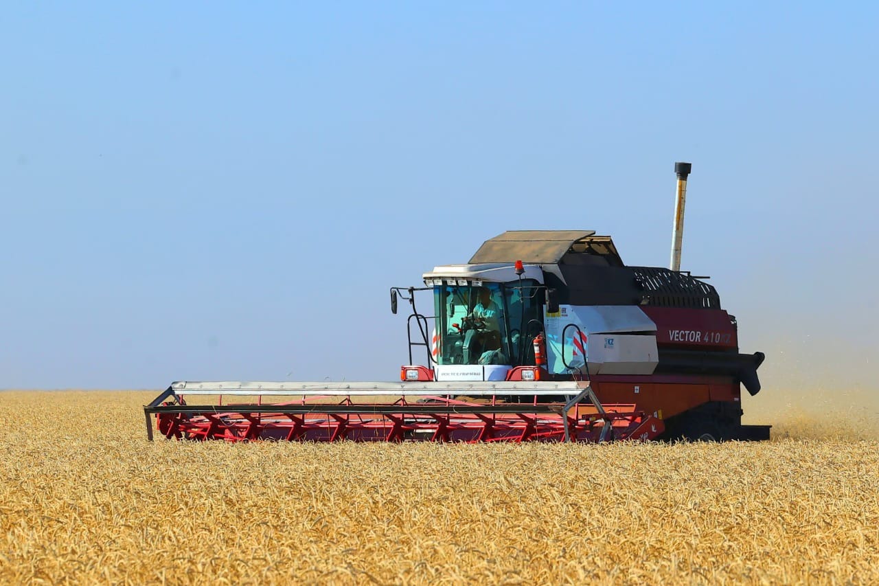 Өңірде ауыл шаруашылығының жалпы өнім көлемі соңғы 3 жылда 1,6 есеге өсіп 642,1 млрд теңгеден 1,1 трлн теңгеге жетті