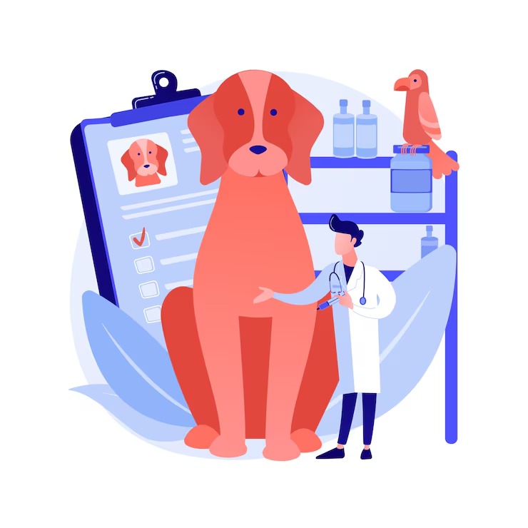 Ветеринарные государственные услуги, оказанные в области Жетісу за III квартал 2025 года