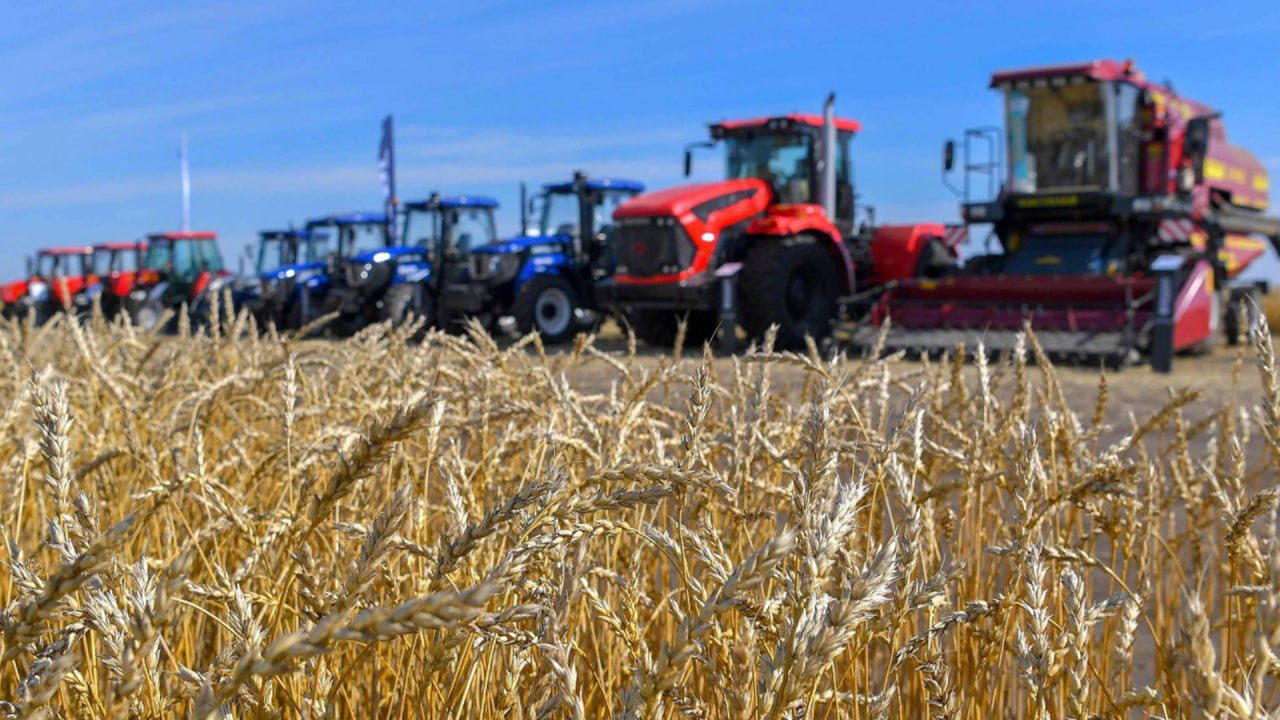 «ҚазАгроҚаржы» заманауи астық кептіру технологияларын сатып алуды қаржыландырады