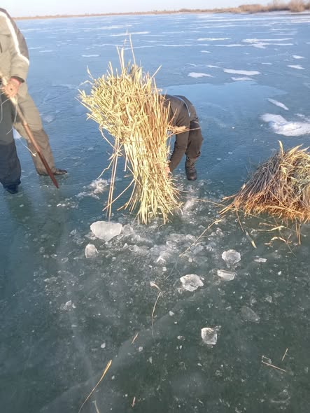 Үкі ою - су маржанын сақтаудың тиімді жолы
