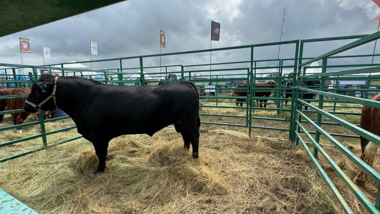 Қазақстандық өнімдер ЕО және Парсы шығанағы елдерінің нарықтарына шығады&nbsp;