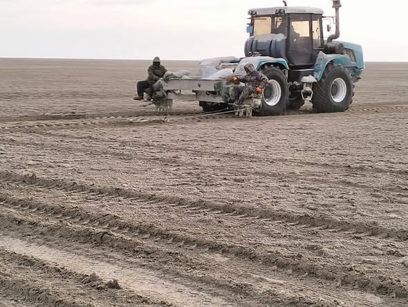 Арал теңізінің құрғаған ұлтанында фитоорманмелиорациялық жұмыстары қарқынды жүргізілуде