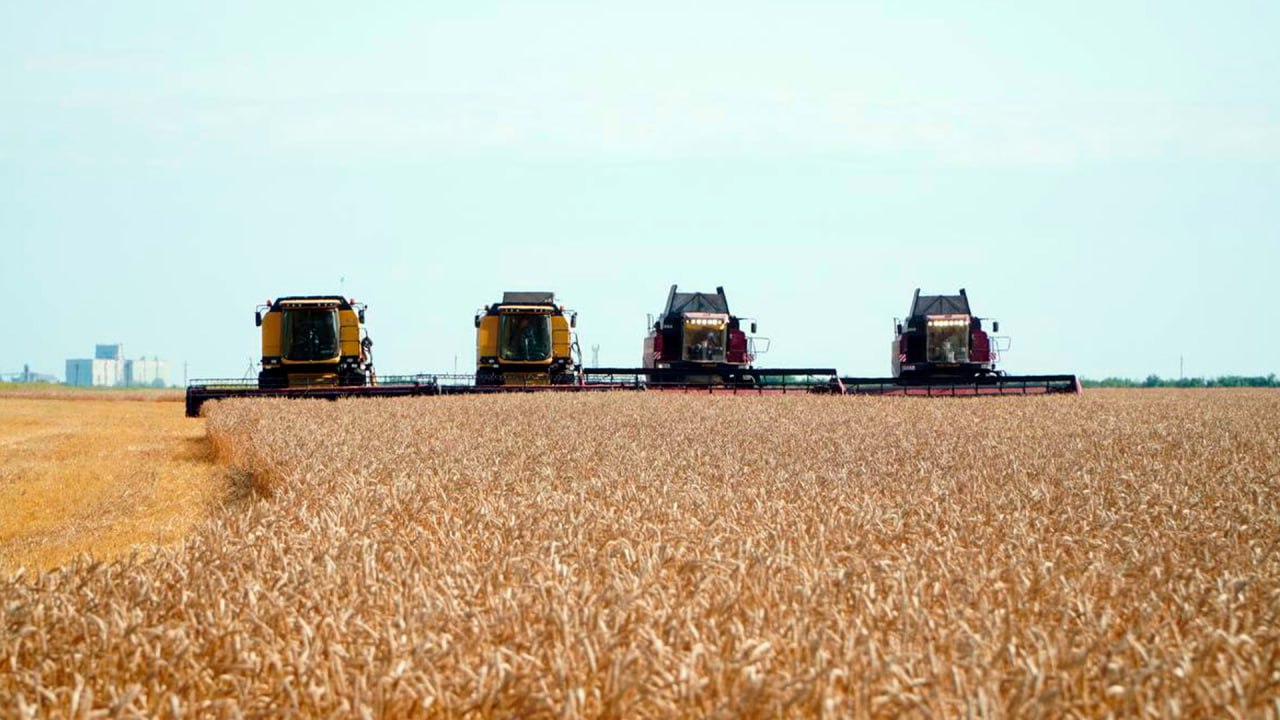 Развитие инфраструктуры: в Казахстане запустят программу кредитования по строительству и модернизации элеваторов