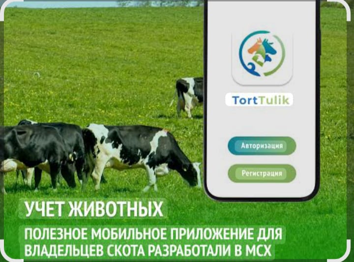 Ауыл шаруашылығы жануарларының иелері үшін «Төрт түлік» қосымшасын орнату – малды тіркеу мен түгендеуді оңтайландыратын тиімді шешім. Қосымша арқылы жануарды есепке қою, сатып алу-сату, сырғасын ауыстыру, төлқұжат алу және союдан кейін есептен шығару онлайн жүргізіледі. Сондай-ақ вакцинация туралы ескертулер мен салалық жаңалықтар қолжетімді.