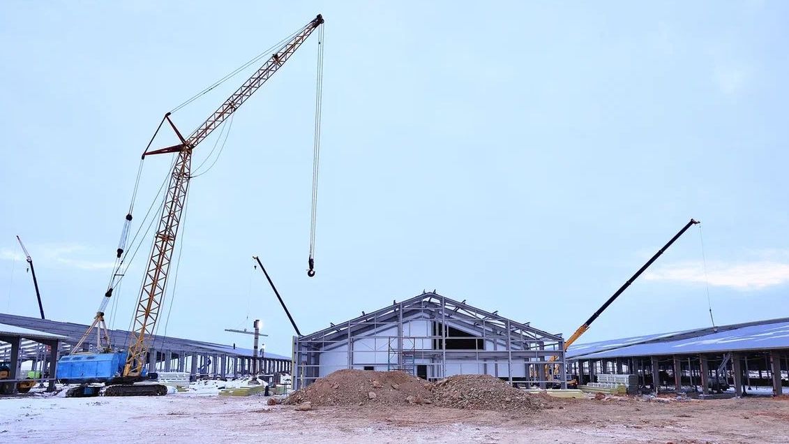 В Карагандинской области создают сельскохозяйственный кластер