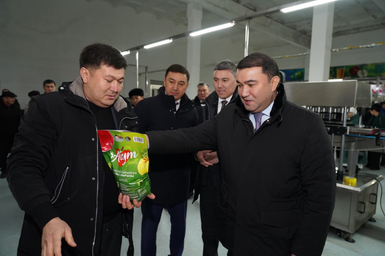 ТҮРКІСТАН: ТҮЛКІБАСТА ЖЕМІС-ЖИДЕКТІ ТЕРЕҢ ӨҢДЕЙТІН ЗАУЫТ АШЫЛДЫ