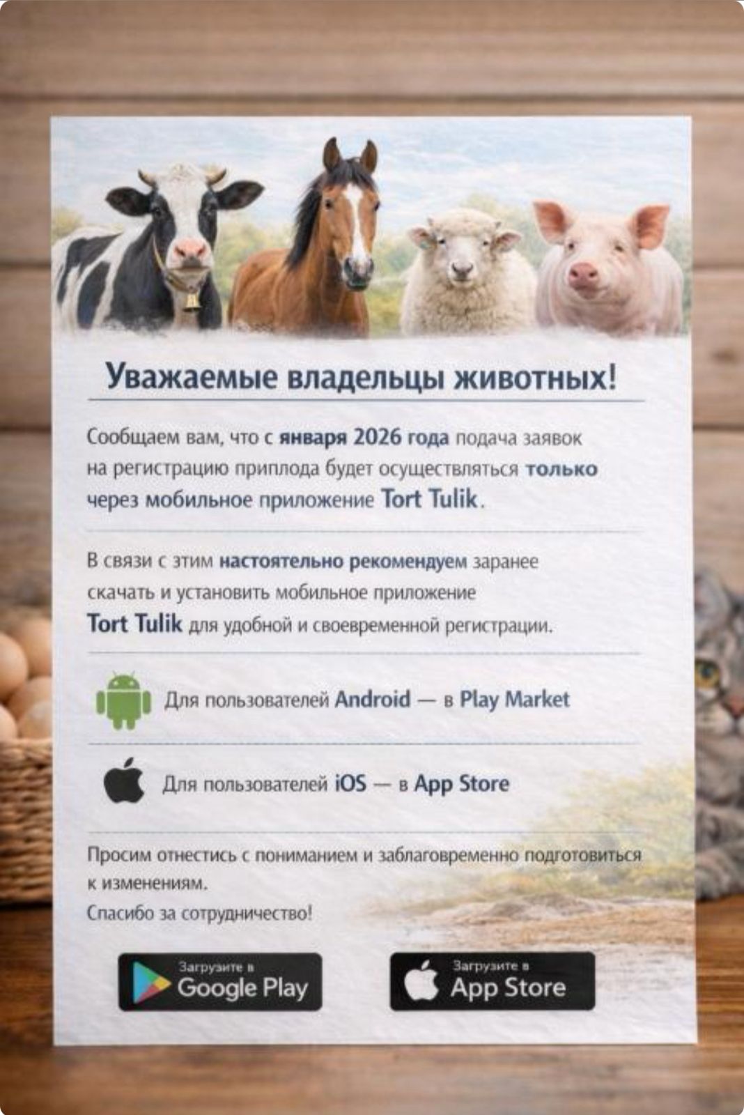 Құрметті мал иелері!