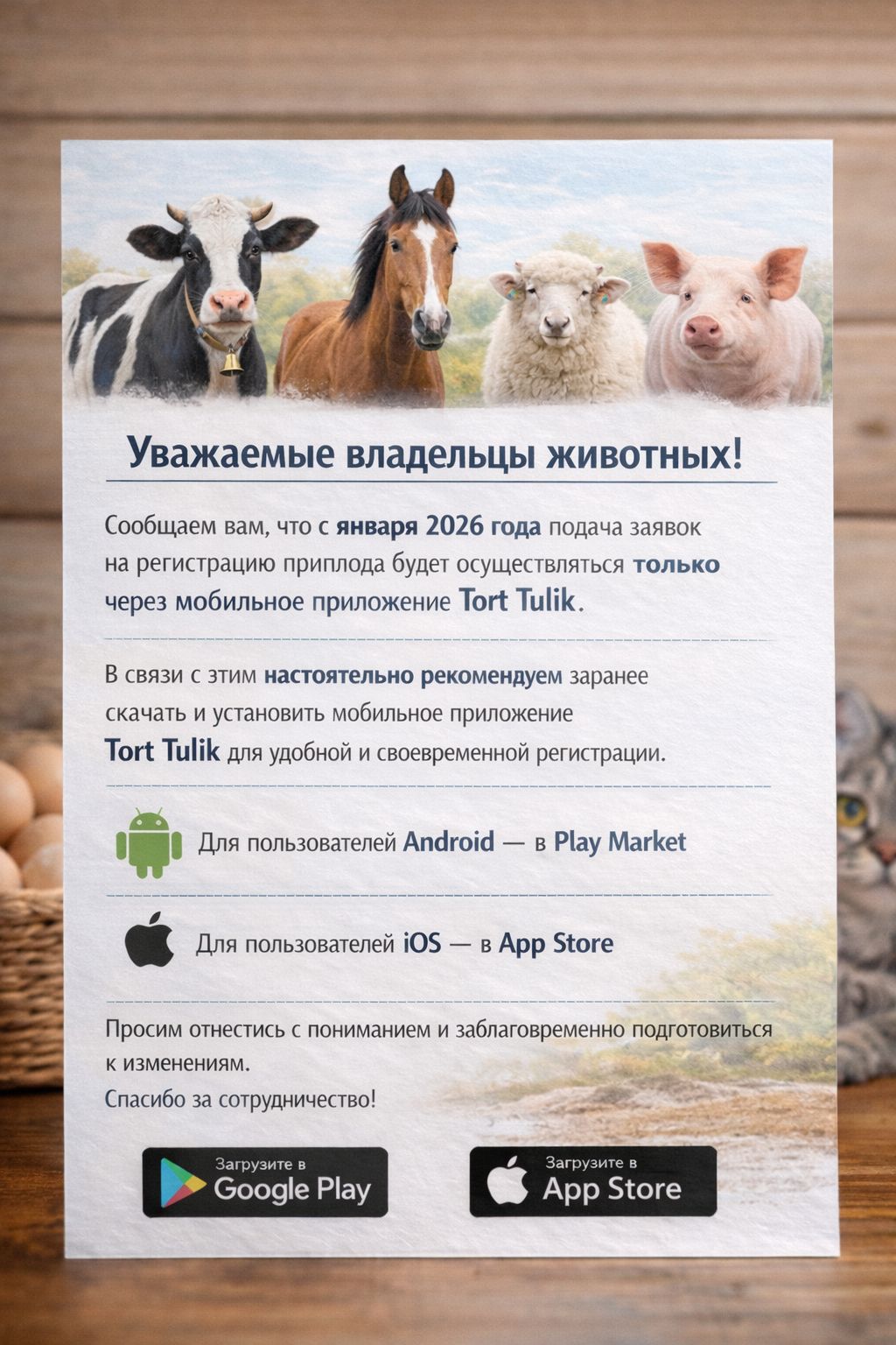 Уважаемые владельцы животных!